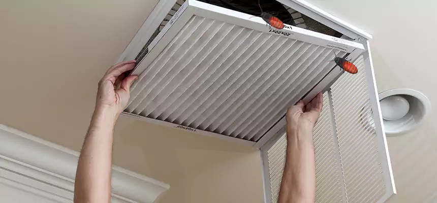 Preventive Cockroach-Proofing for Ducts in Longmeadow
