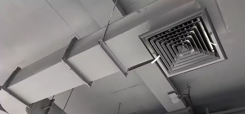 Restorative Allergy Relief Vent Cleaning – Coil, Blower & Housing Detail in Longmeadow