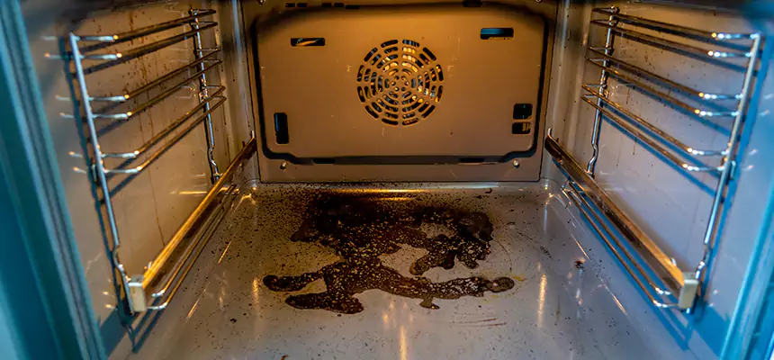 Our Dryer Vent Mold Cleaning Services in Longmeadow, MA