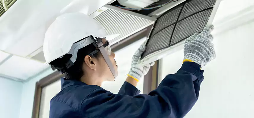 Our Mold & Mildew Removal from Air Ducts Services in Longmeadow, MA