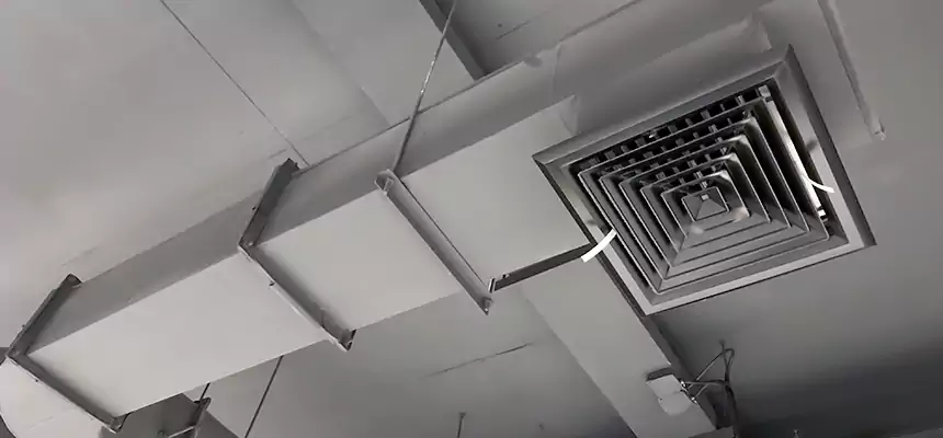 Our Pest Removal From Ducts Services in Longmeadow, MA