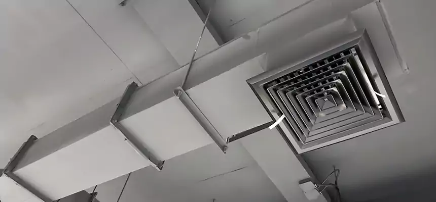 Our Rodent Droppings In Vents Services in Longmeadow, MA