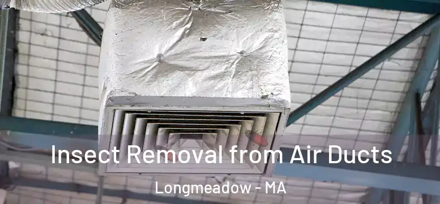  Insect Removal from Air Ducts Longmeadow - MA