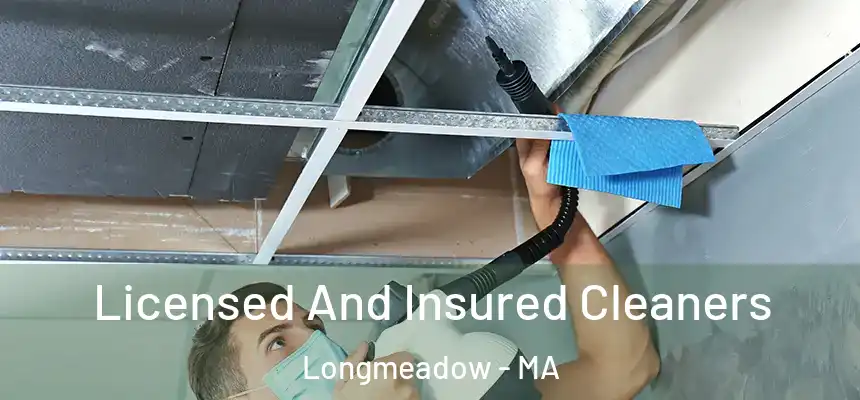  Licensed And Insured Cleaners Longmeadow - MA