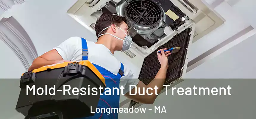  Mold-Resistant Duct Treatment Longmeadow - MA