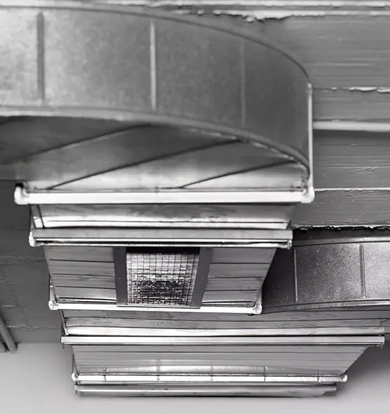 Professional Air Duct Pet Hair Removal in Longmeadow, MA