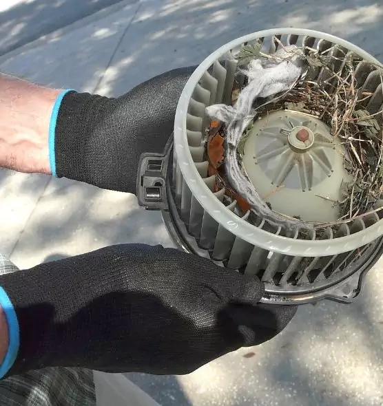 About Air Duct Rat Removal in Longmeadow, MA