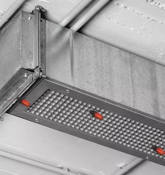Affordable Insect Removal from Air Ducts in Longmeadow, MA