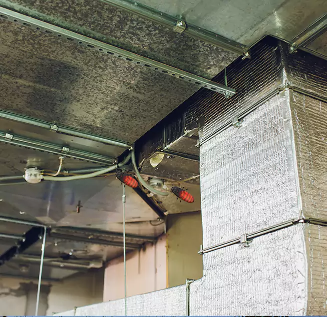 Why Homeowners & Businesses Trust Us in Longmeadow, MA?