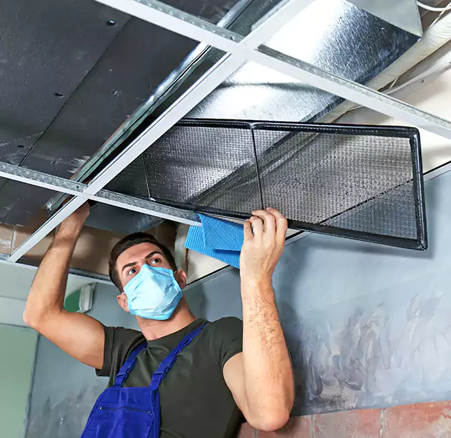 Why Homeowners Businesses Trust Us in Longmeadow, MA