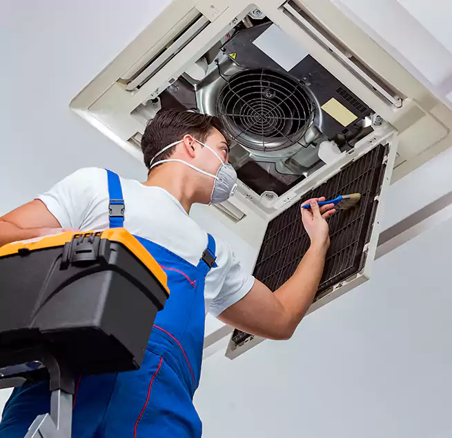 Why Homeowners & Businesses Trust Us in Longmeadow, MA