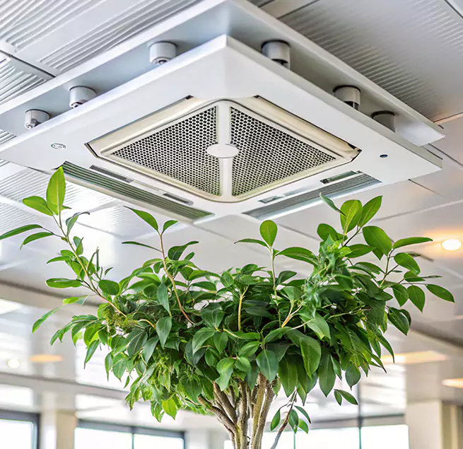 Why Homeowners & Businesses Trust Us in Longmeadow, MA