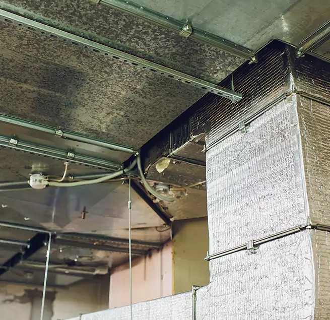 Why Homeowners & Businesses Trust Us in Longmeadow, MA?